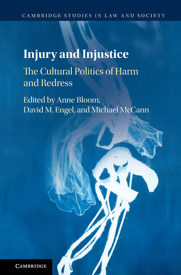 Injury and injustice : the cultural politics of harm and redress
