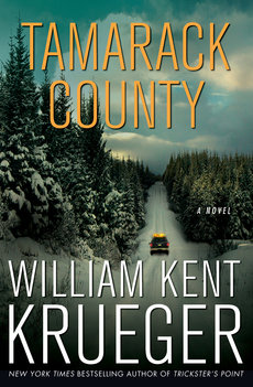 book jacket for: Tamarack County