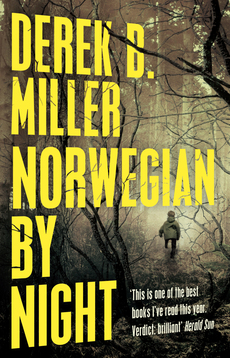 book jacket for: Norwegian by Night