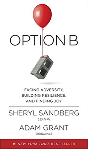 View description for 'Option B: Facing Adversity, Building Resilience, and Finding Joy'