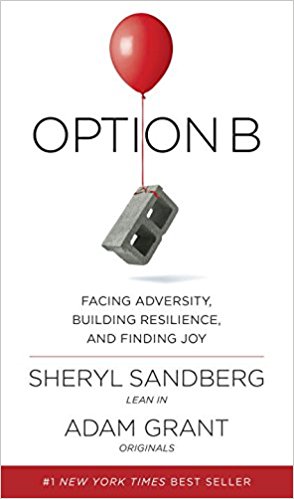 View description for 'Option B: Facing Adversity, Building Resilience, and Finding Joy'