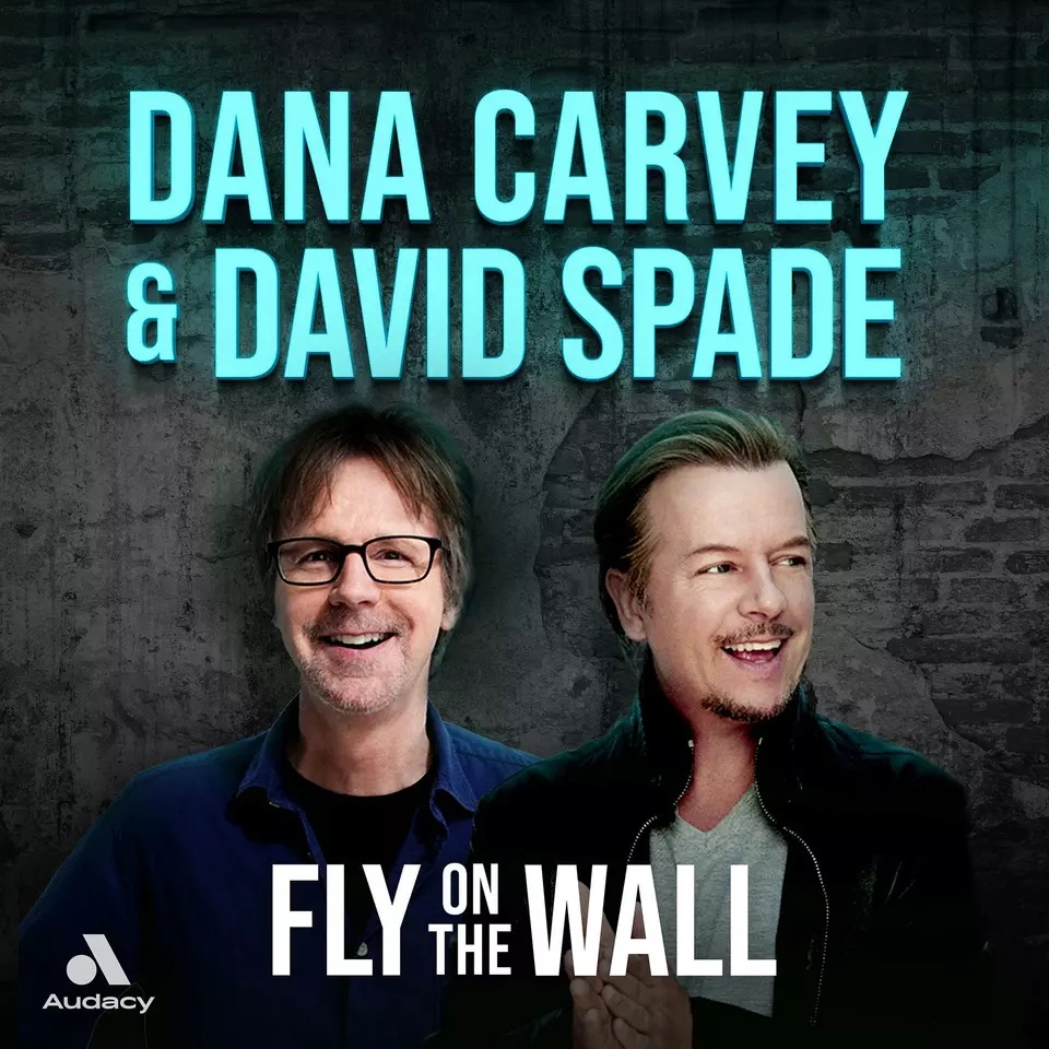 Fly on the Wall