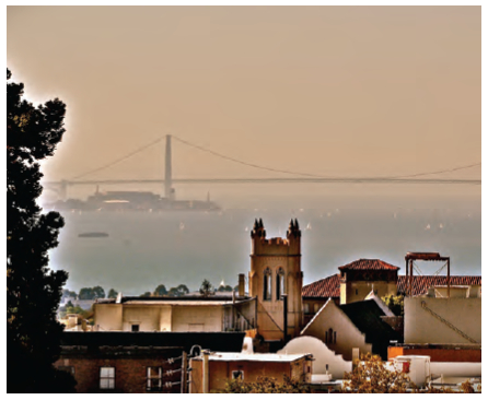 Cal with Bay Bridge, Photo: Oliver Kay, Acquisitions/Serials