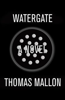 book jacket for: Watergate: A Novel