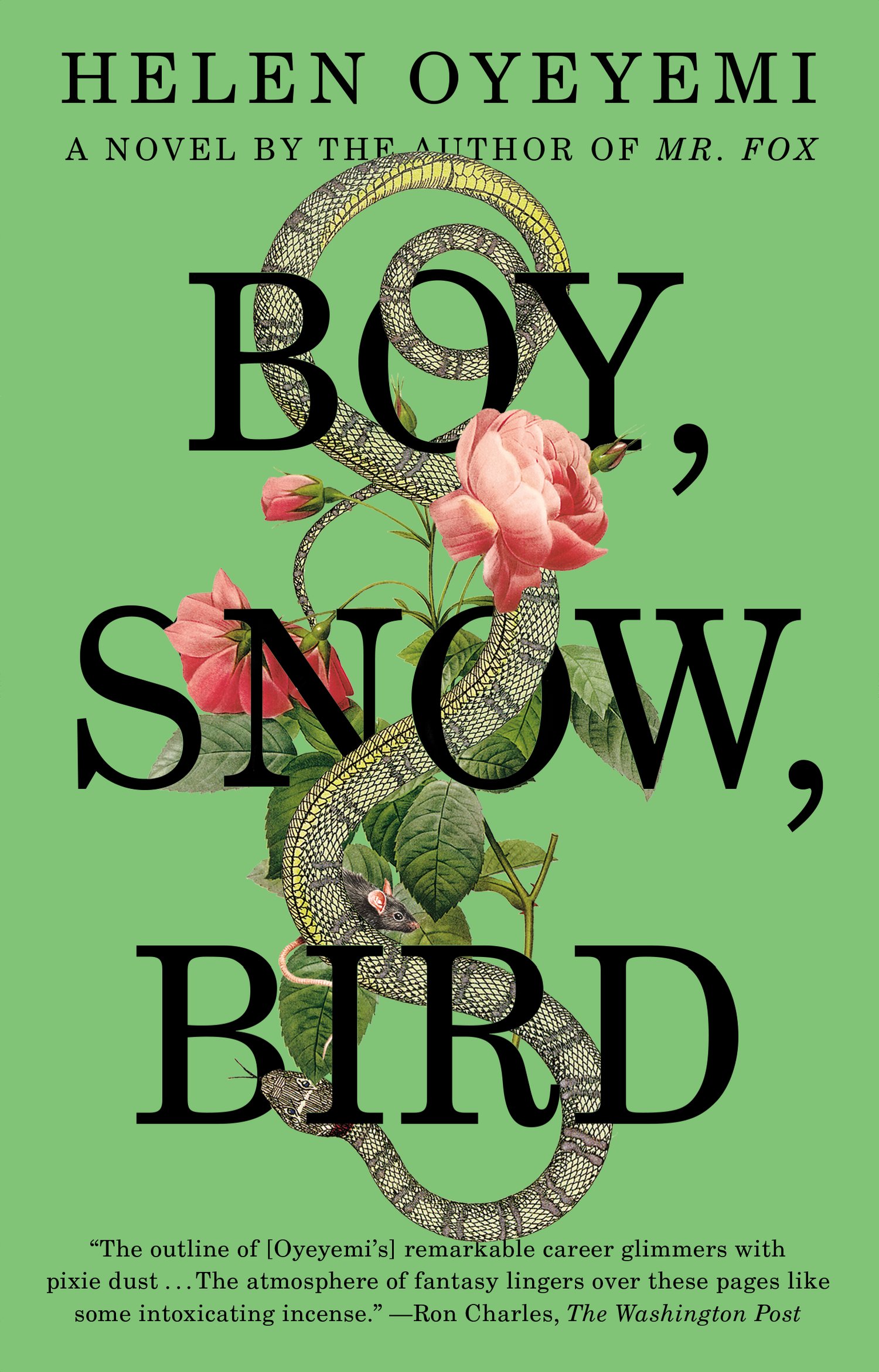 View description for 'Boy, Snow, Bird'