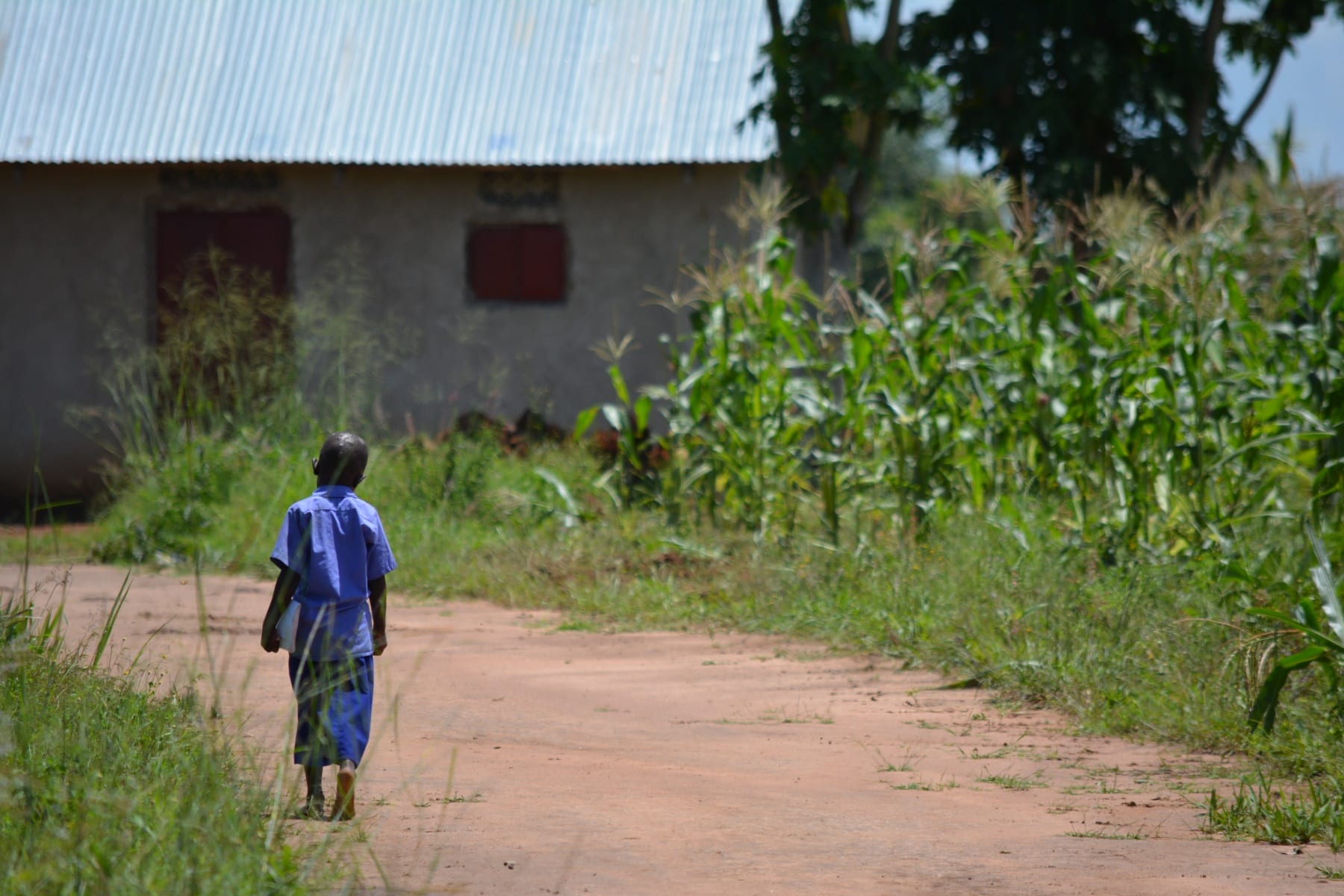 Boy walking