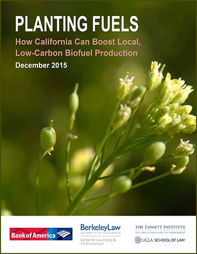 View Planting Fuels: How California Can Boost Local, Low-Carbon Biofuel Production