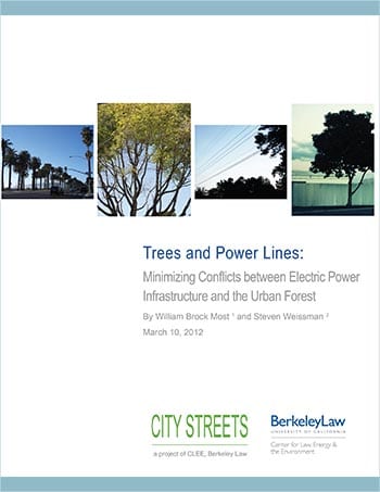 View Trees and Power Lines: Minimizing Conflicts between Electric Power Infrastructure and the Urban Forest