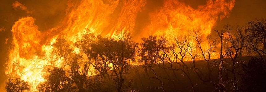 wildfire