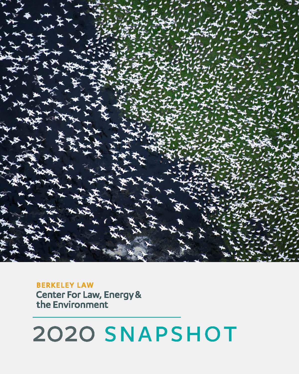 View 2020 Snapshot