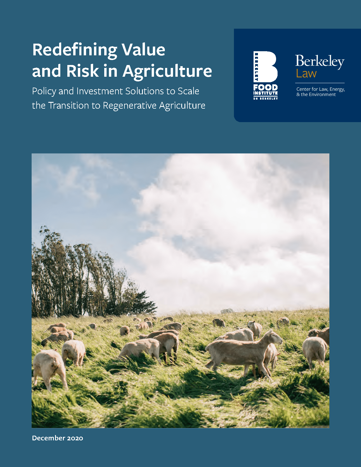 Redefining Value and Risk in Agriculture report cover