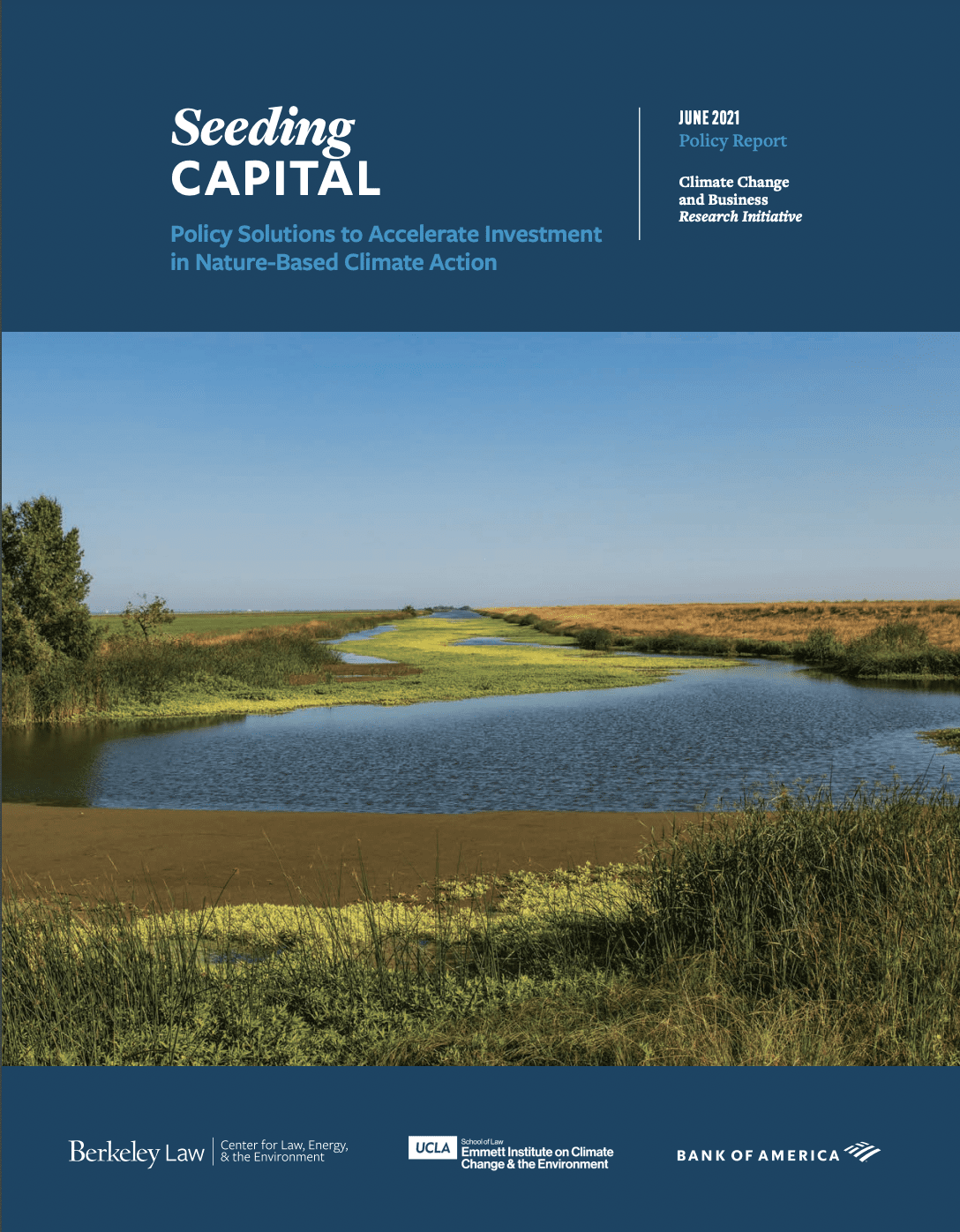 Investing in Nature as a Climate Solution report cover