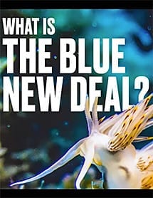 What is the Blue New Deal cover showing snail. Links to PDF.