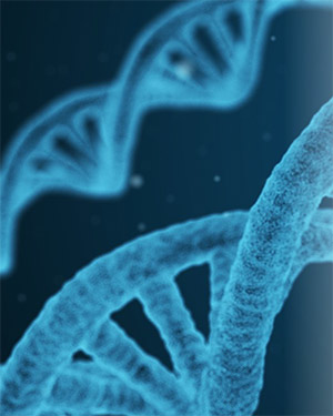 Photo of DNA