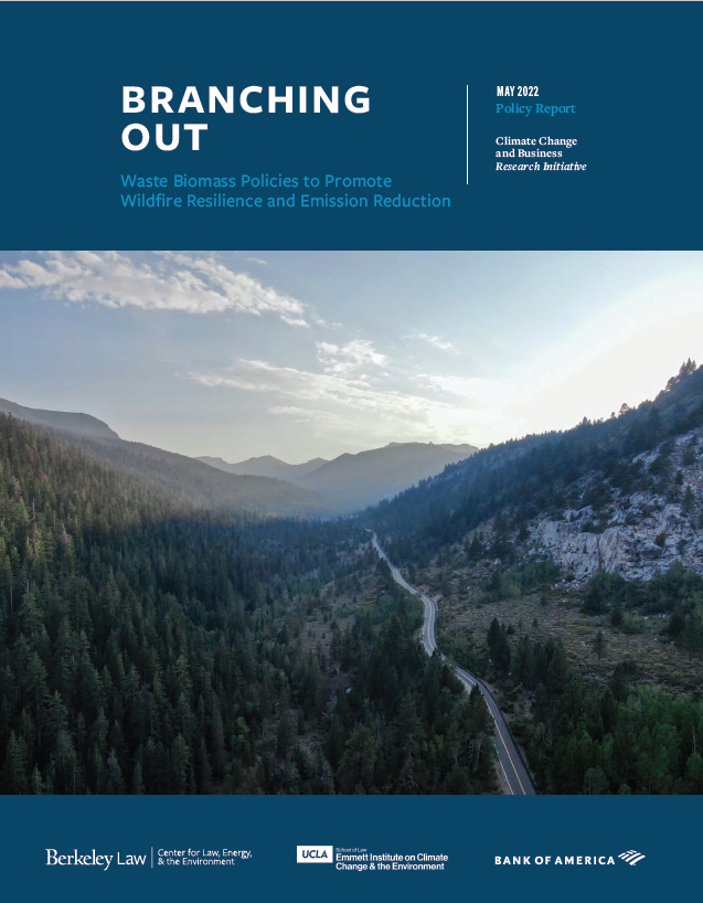 Branching Out Report Cover