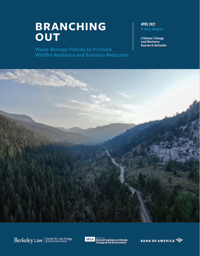 Branching Out report cover