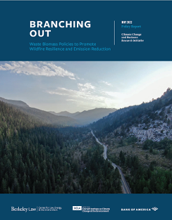 Branching Out report cover