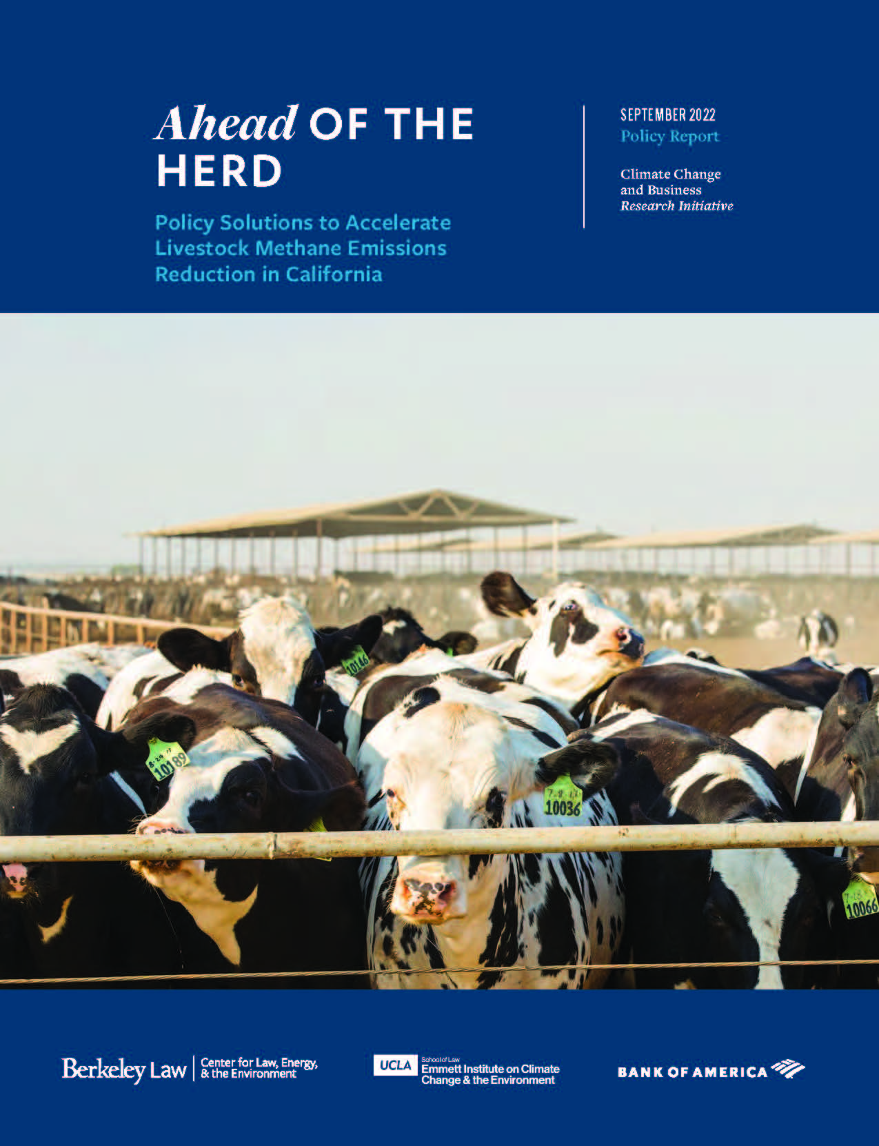 Report cover featuring image of cattle feedlot