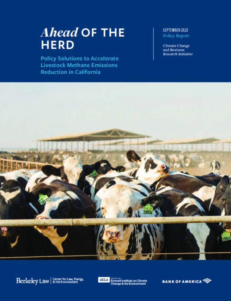 Ahead of the Herd report cover