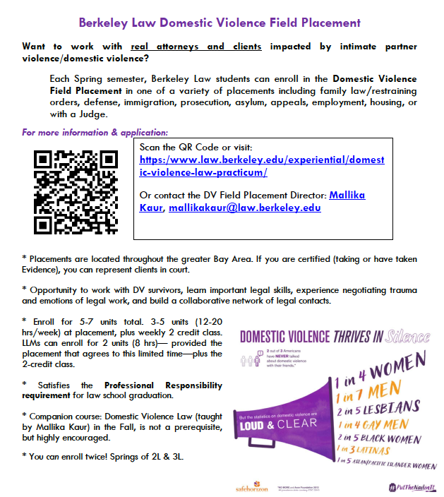 First page of Domestic Violence Field Placement Flyer