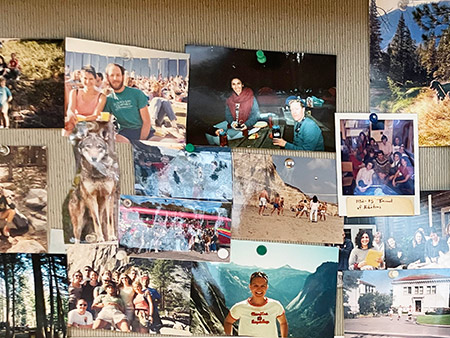 Bulletin board with many old photos