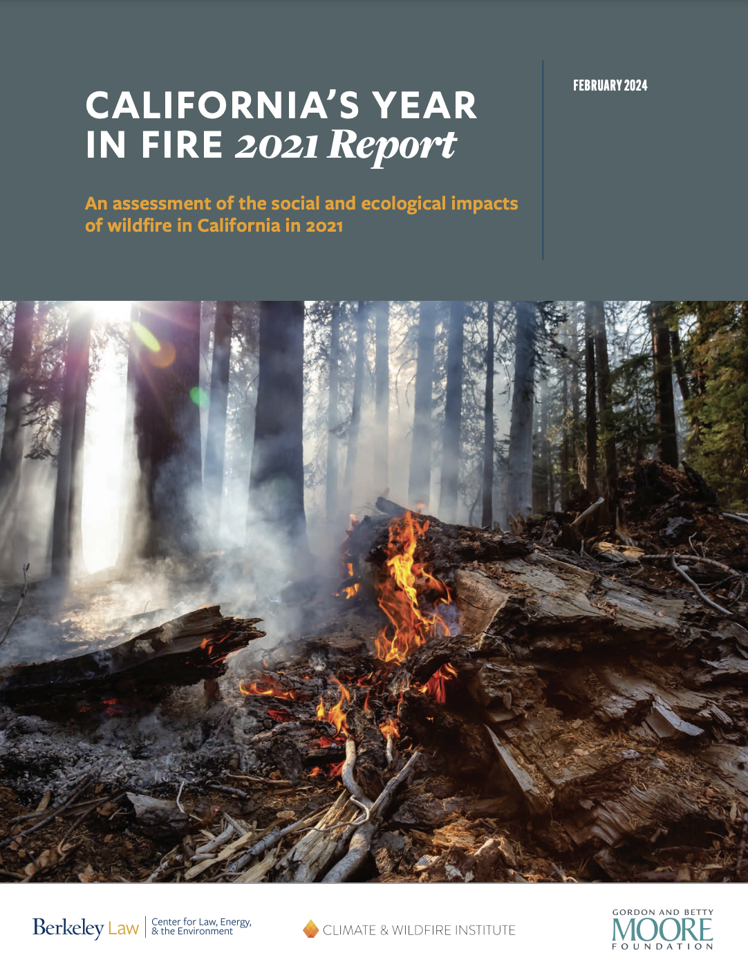 Report cover. Top grey banner reads, "California's 2021 Year in Fire Report: An assessment of the social and ecological impacts of wildfire in California in 2021." Includes picture of fire burning wood in a forest and the logos of CLEE and partners.