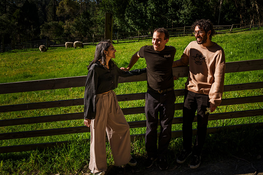 Four people outside leaning on a fence with green grass and sheep behind them