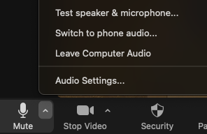 picture of zoom test audio settings